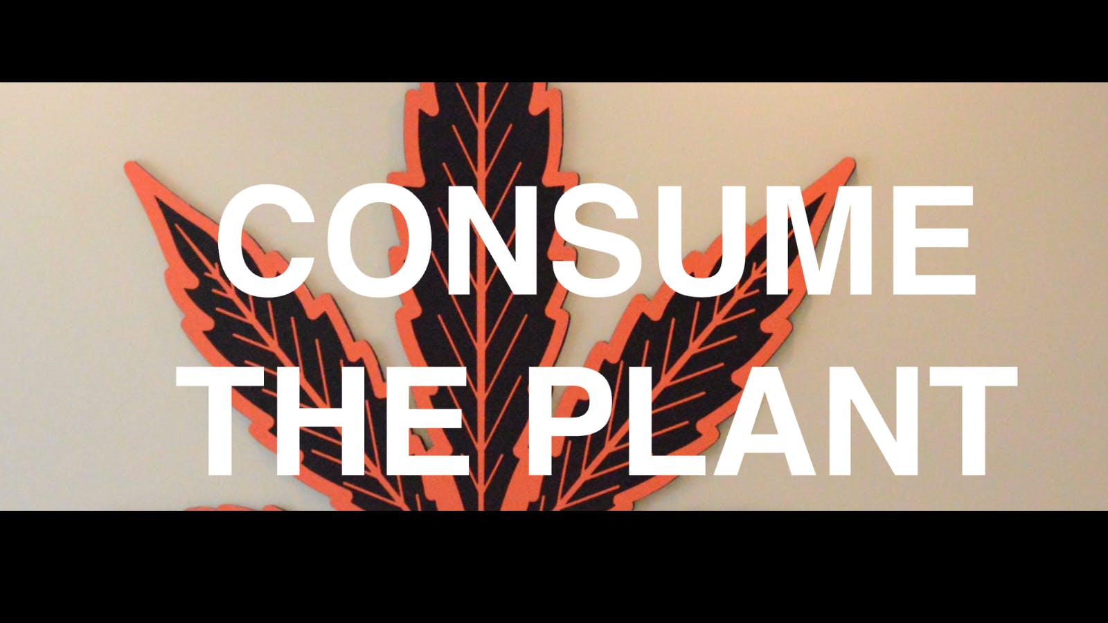 Consumers Cannabis - Trafalgar Rd listing banner