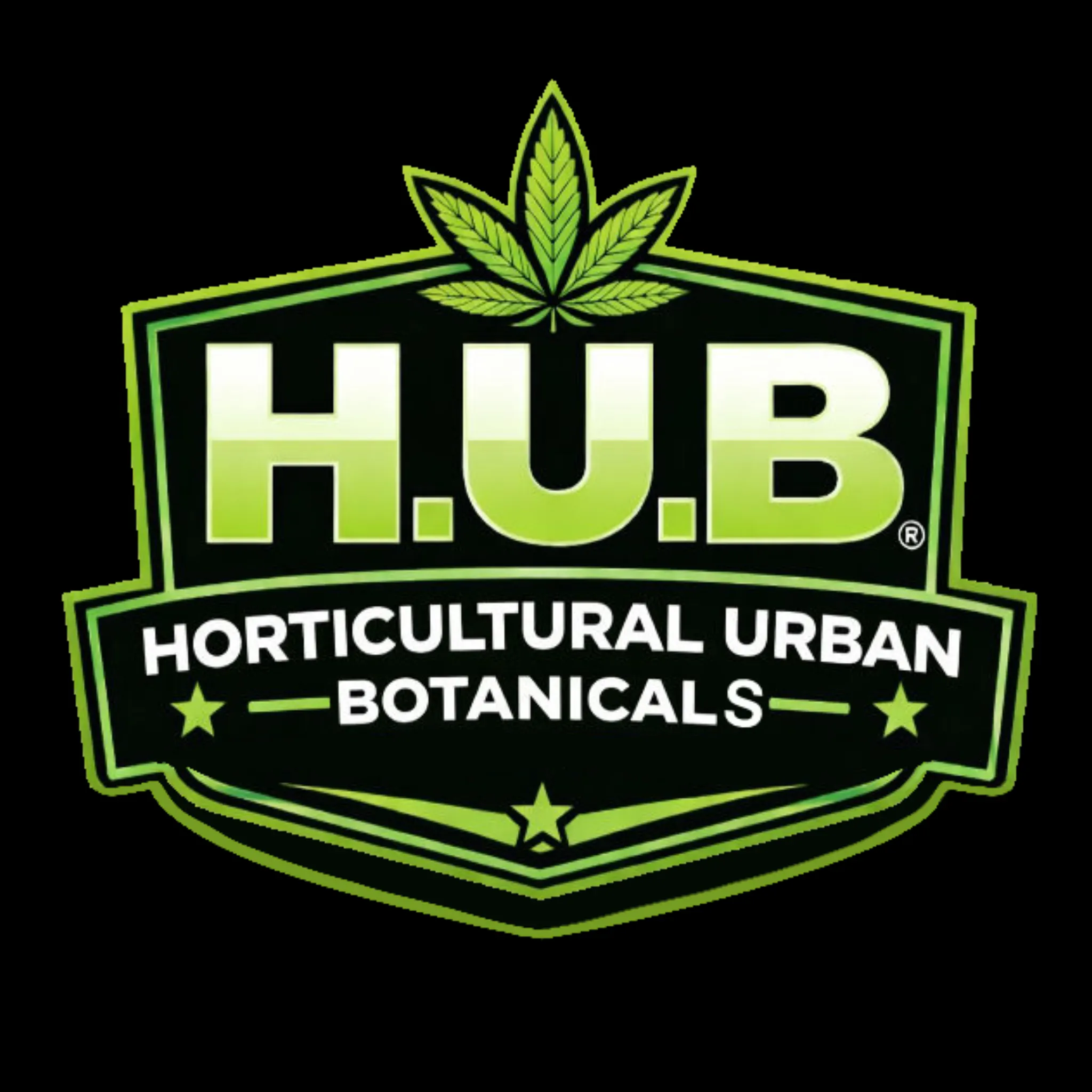 The Hub