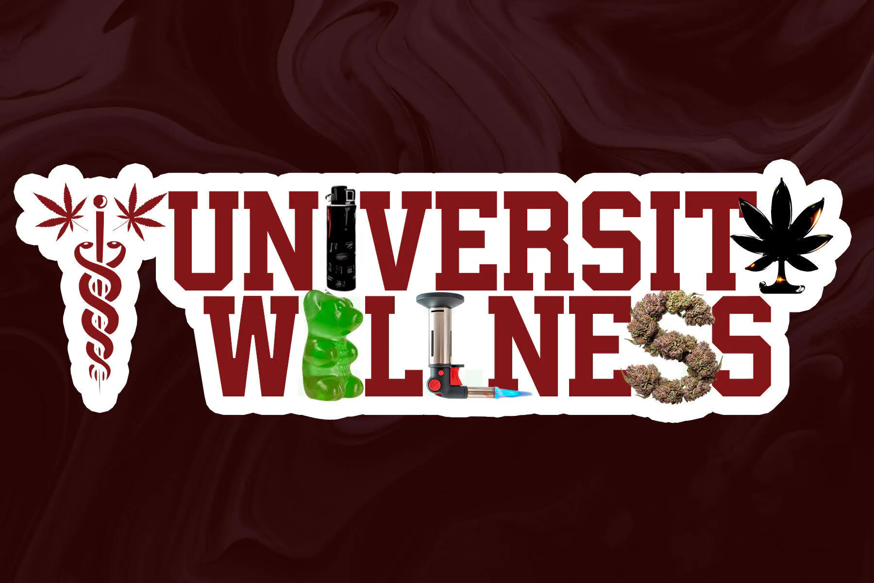 University Wellness Center