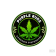 Purple Buds