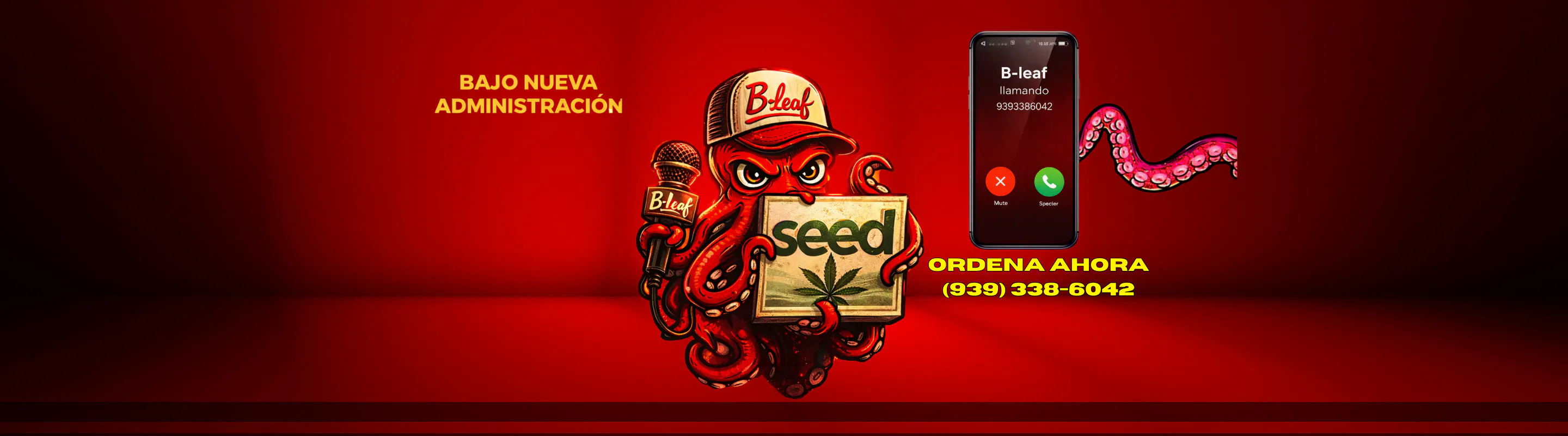 Seed Cannabis Collection listing banner