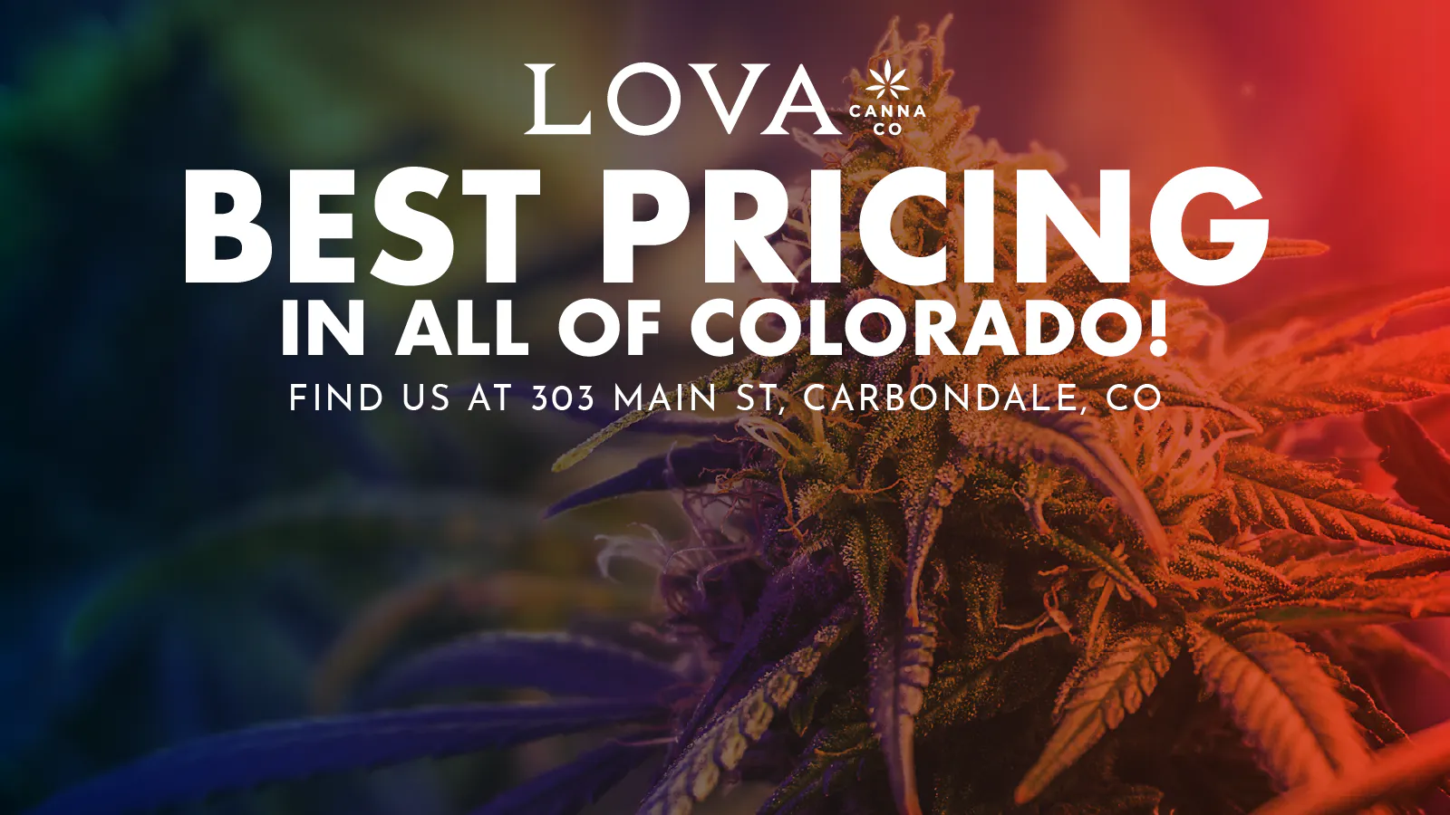 LOVA - Carbondale listing banner