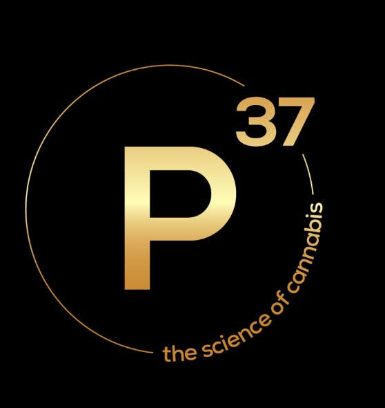 Prohibition 37 – Sunland Park