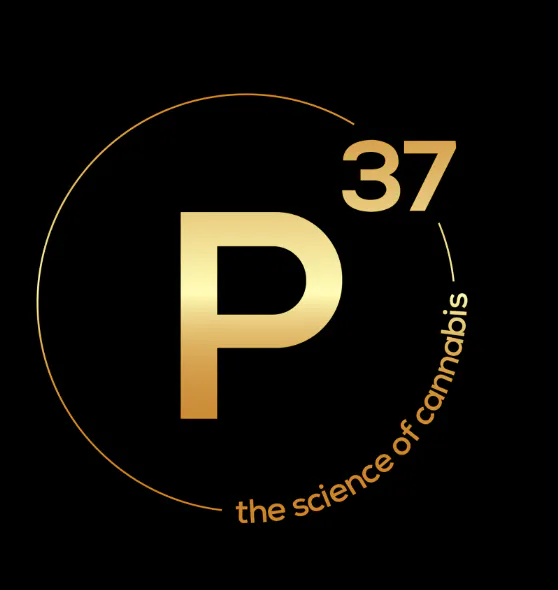 Prohibition 37 – Sunland Park
