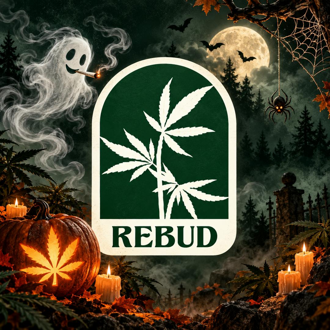 Rebud - San Pedro