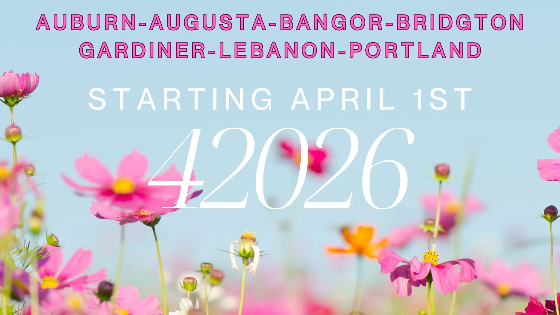 Rugged Roots Trading Post - Augusta listing banner