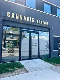 Cannabis Station listing banner