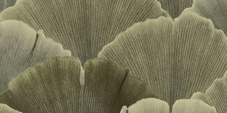 Green Rose - Opening Soon listing banner