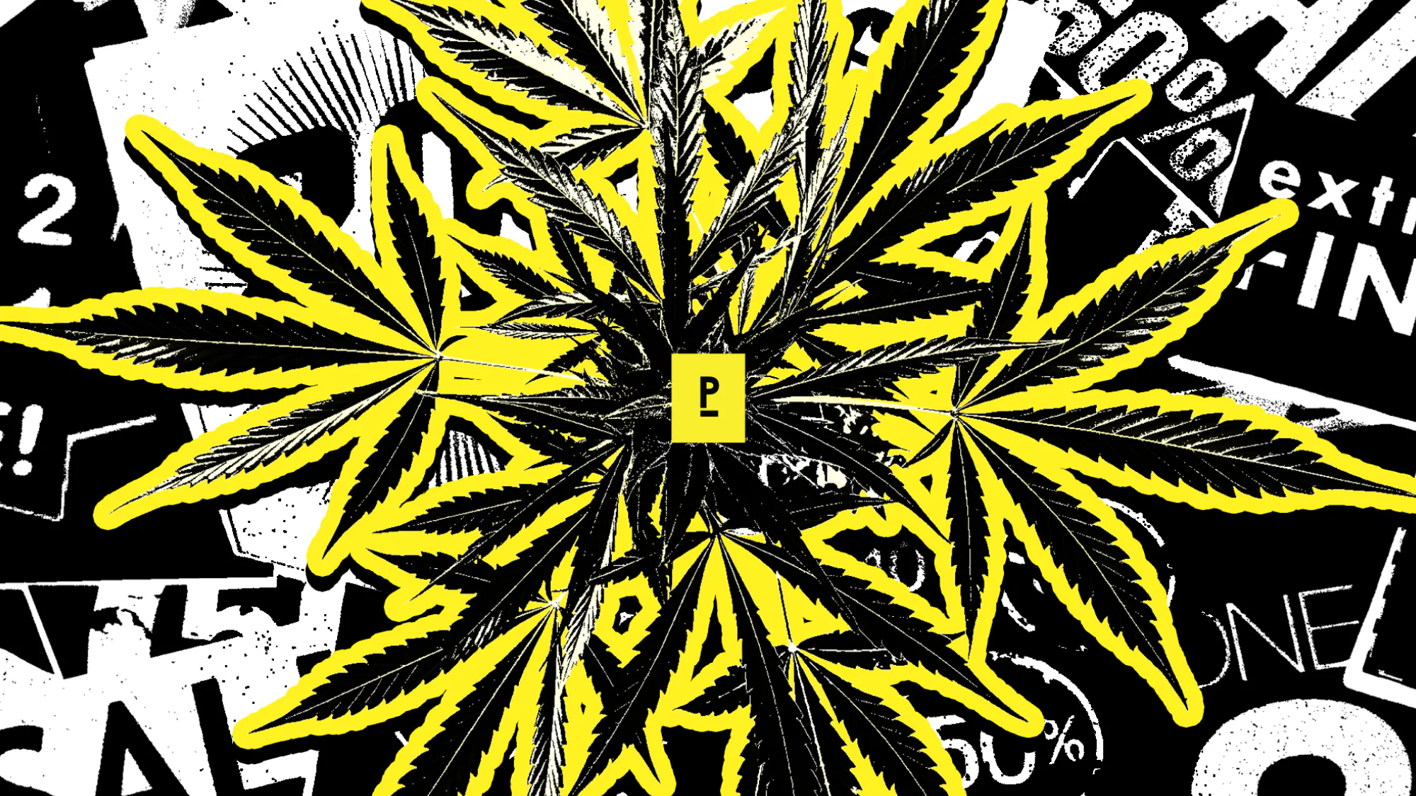 Public Dispensary listing banner