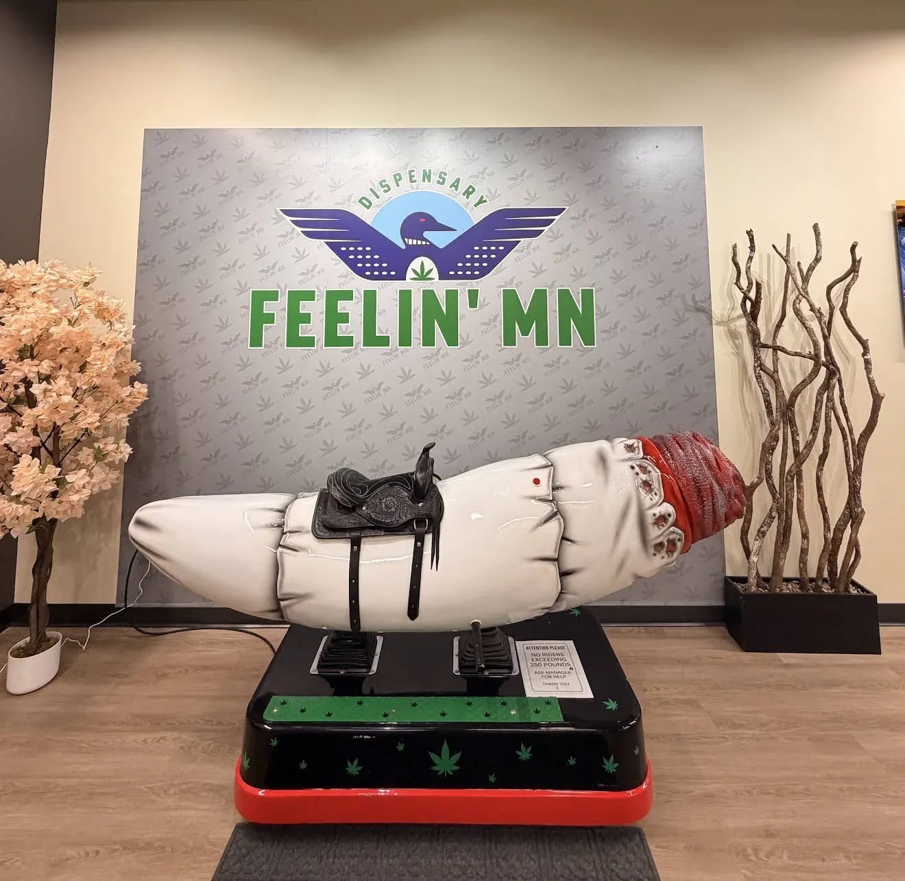 Feelin' MN listing banner