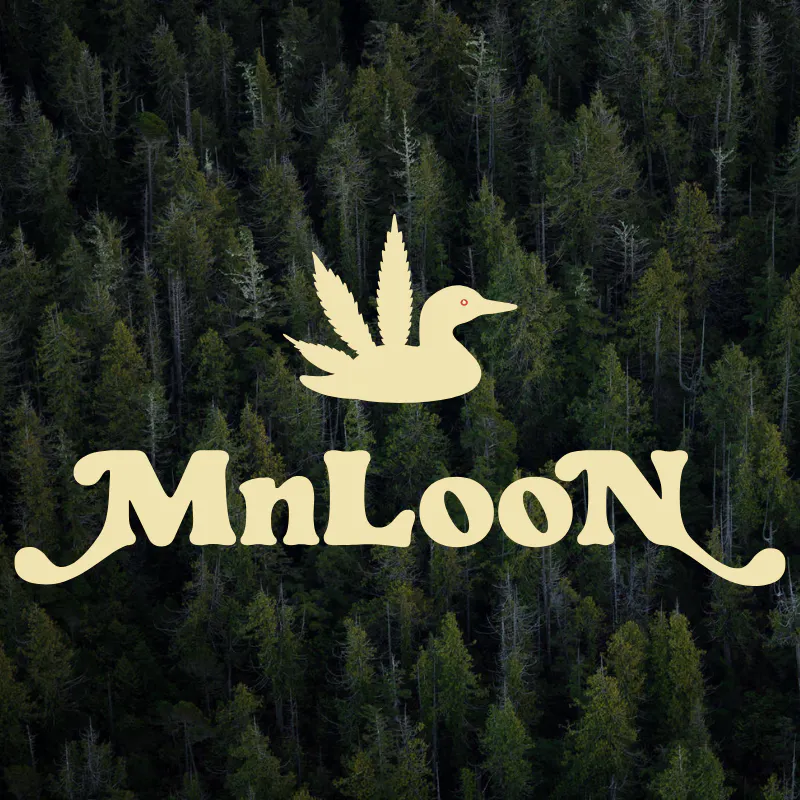 MnLooN - St. Paul