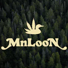MnLooN - St. Paul