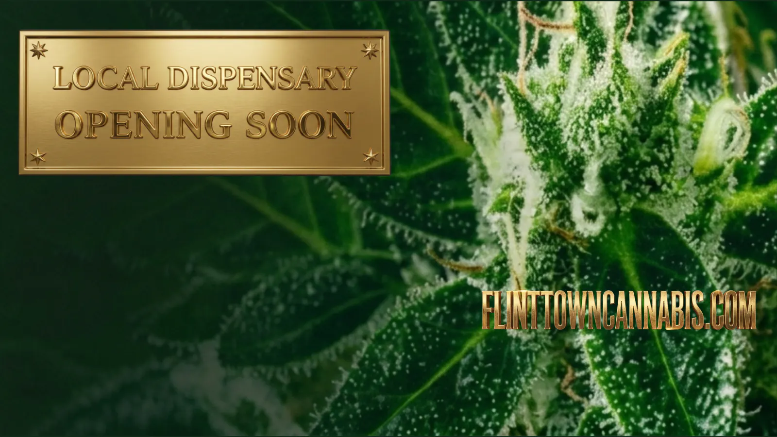 Flint Town Cannabis listing banner