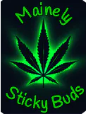 Mainely Sticky Buds listing banner