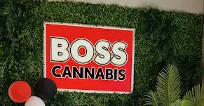 Boss cannabis - Mission listing banner
