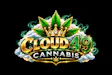Cloud 49 Cannabis
