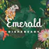 The Emerald Dispensary - Carroll Gardens
