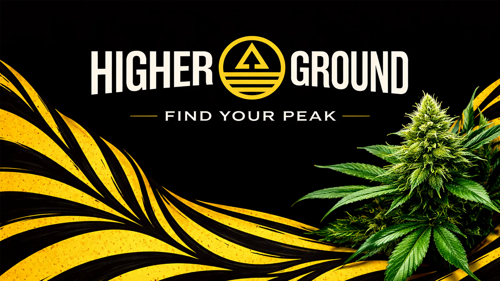 Higher Ground - Canyon Lake listing banner