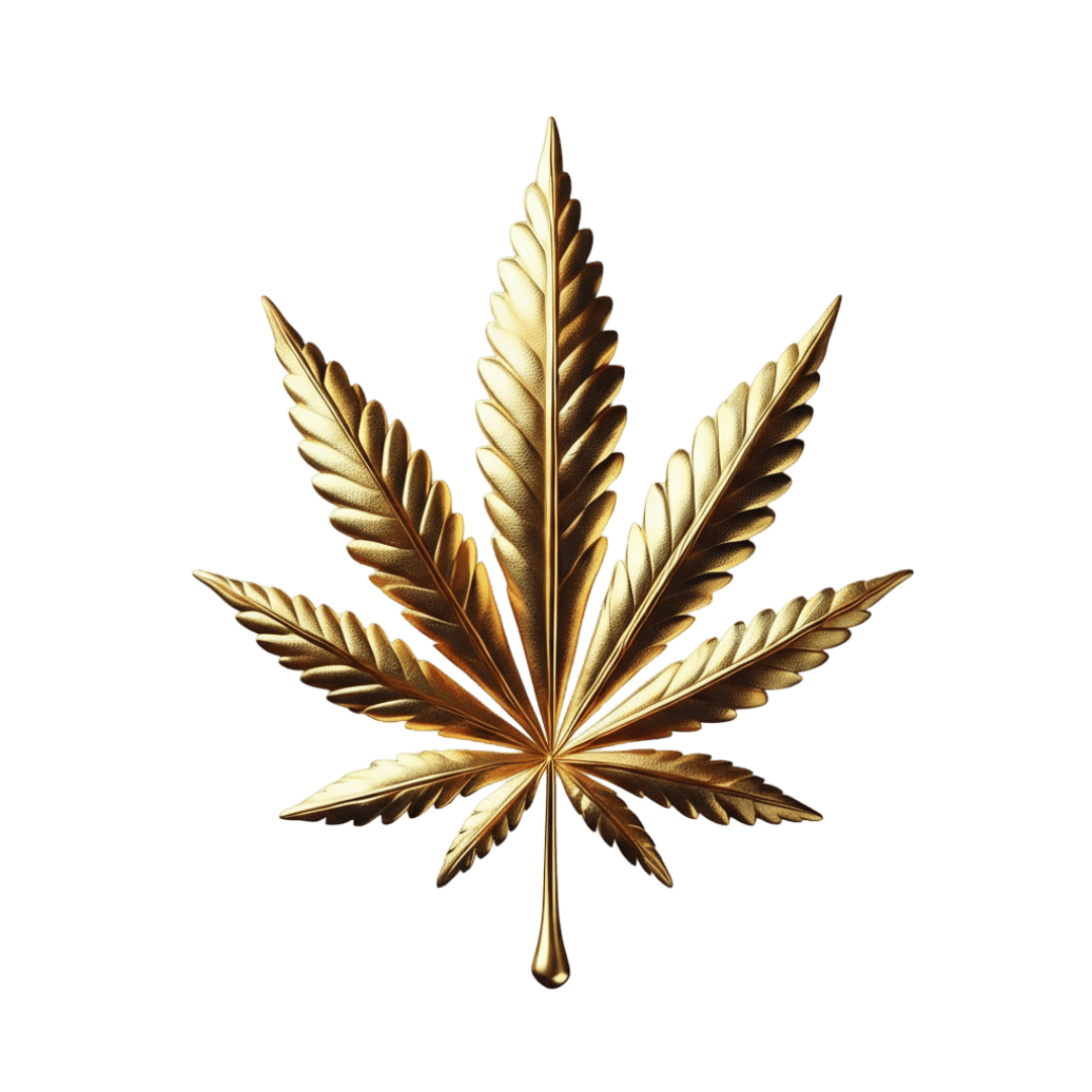 Top Grass Dispensary