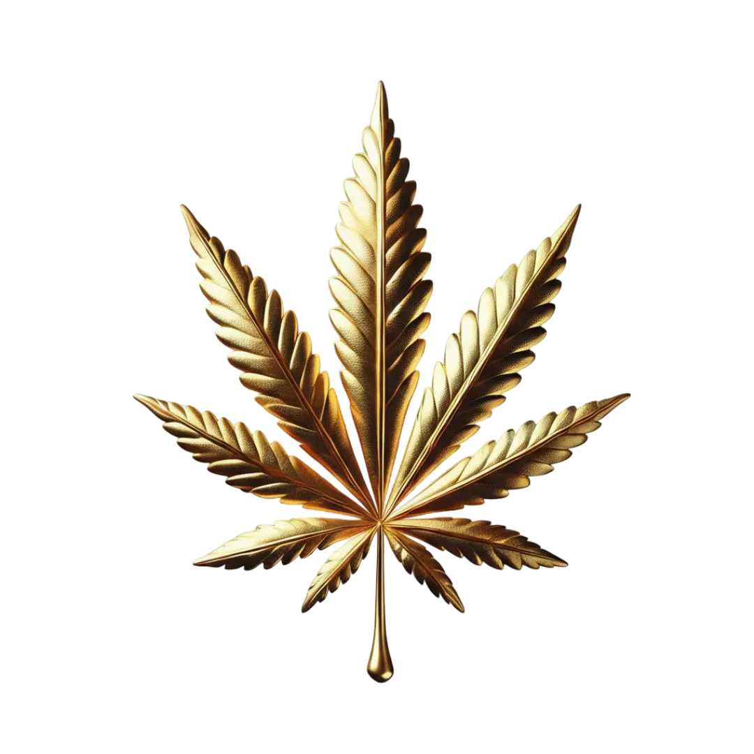 Top Grass Dispensary
