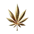 Top Grass Dispensary