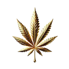 Top Grass Dispensary