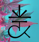 Cannabis Kingdom Dispensary