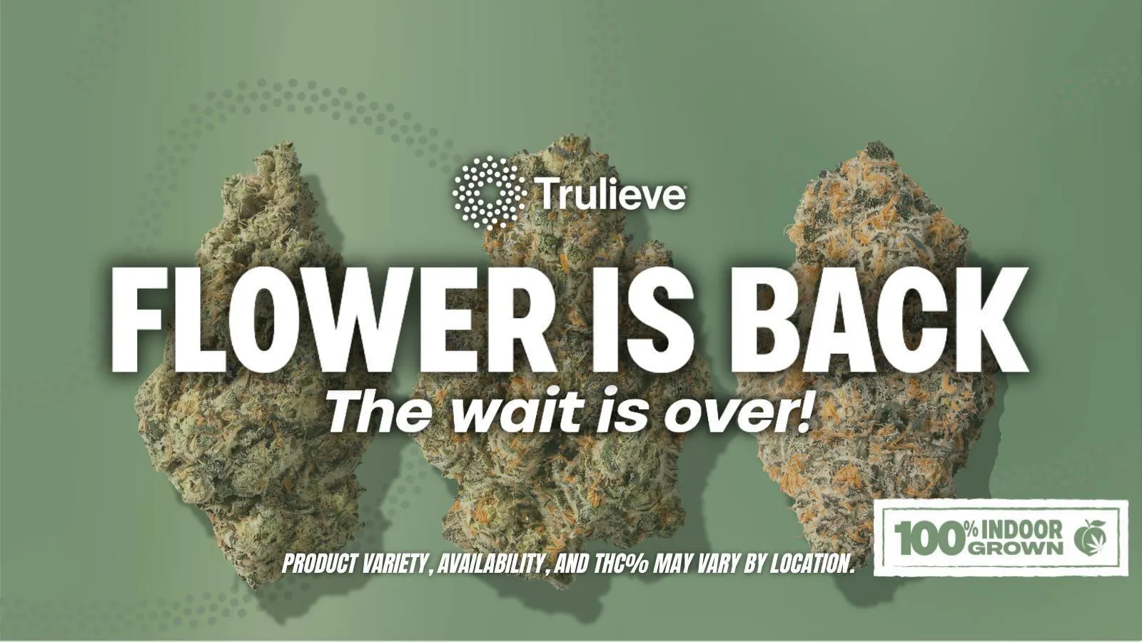 Trulieve Dunwoody Dispensary listing banner