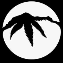 Robson Valley Cannabis Co.