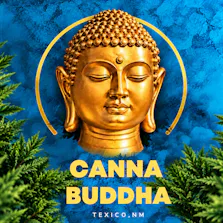 Canna Buddha of Texico