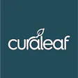 Curaleaf Wellington