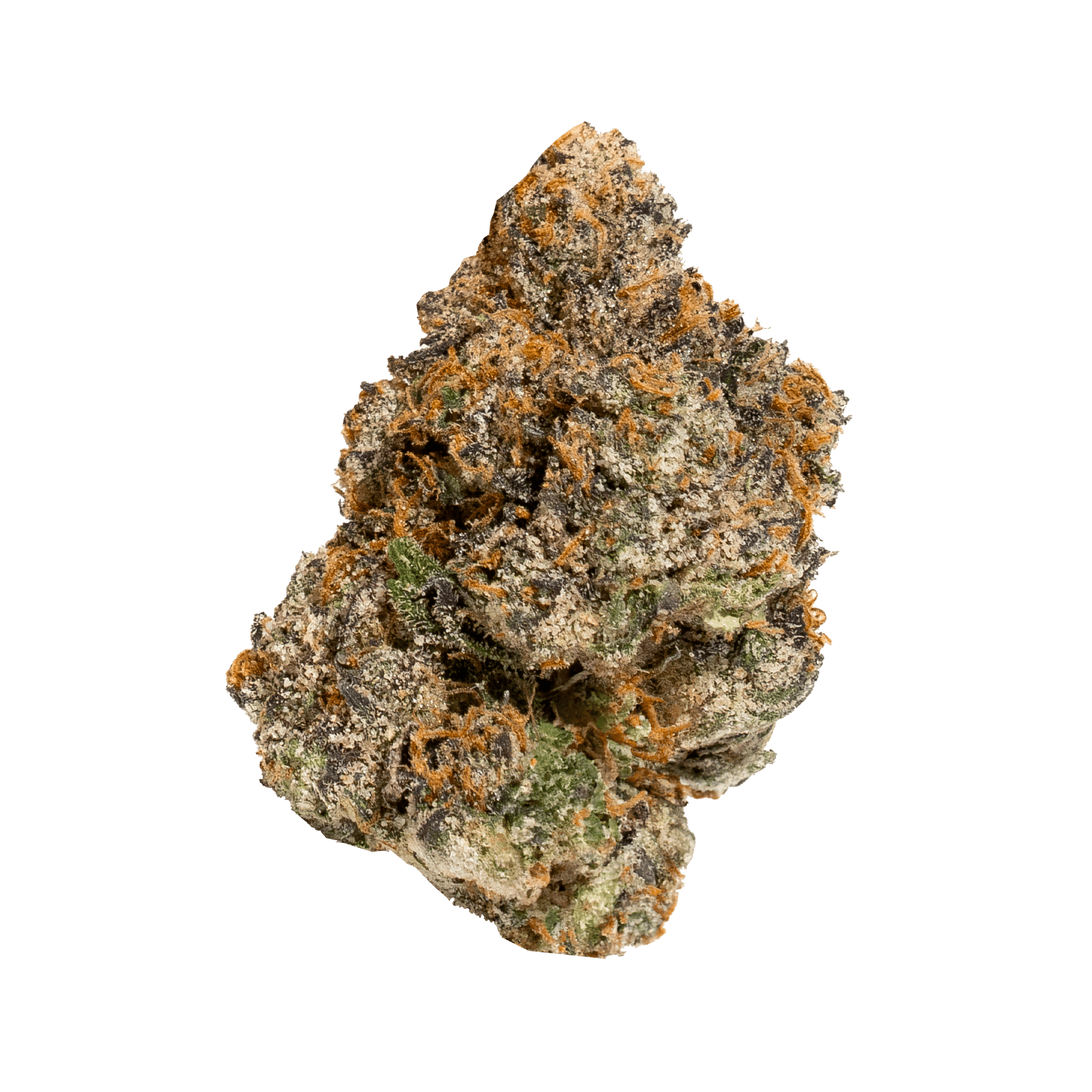 Sherbinskis - Sherbinskis | Black Sesame | Big Buds | 3.5g - 1