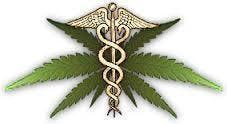 Delta 9 Medical Consulting