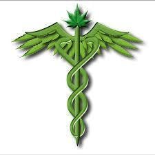 Uplifting Health and Wellness
