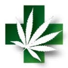 Cannabis Supply Co