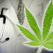 Gainesville 420 Marijuana Doctor Medical Card
