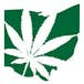 Medical Marijuana Physicians of Ohio, LLC