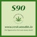 Green Light Health Services - VA