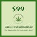 Green Light Health Services - CT