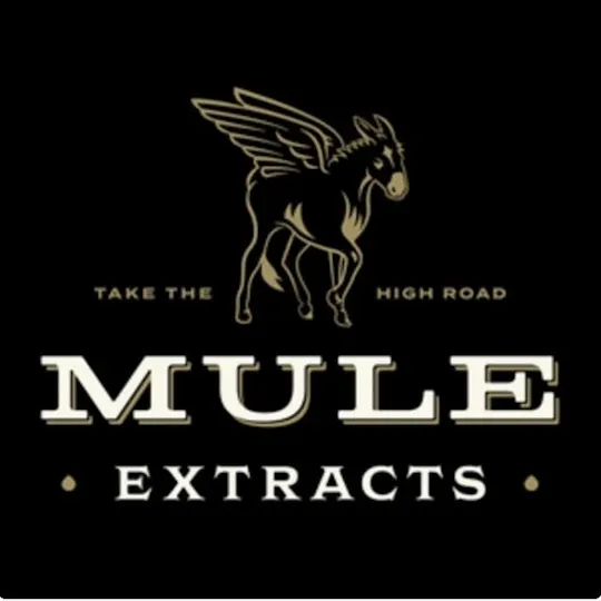 Mule Extracts - Fuji Mint | M-TEC Disposable | 2g - 1