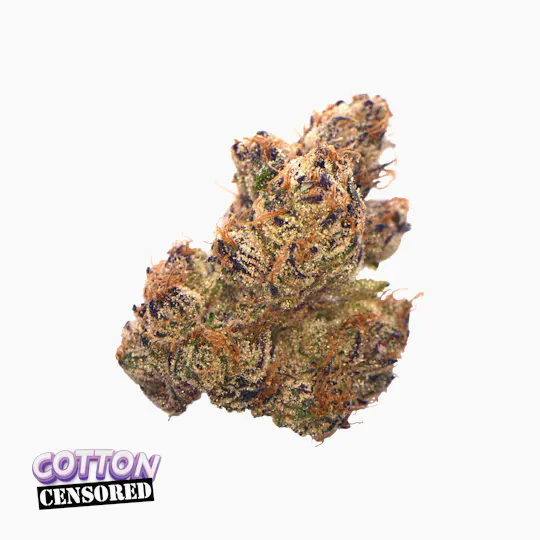 Traditional - Traditional | Cotton Censored | Flower | 3.5g - 1