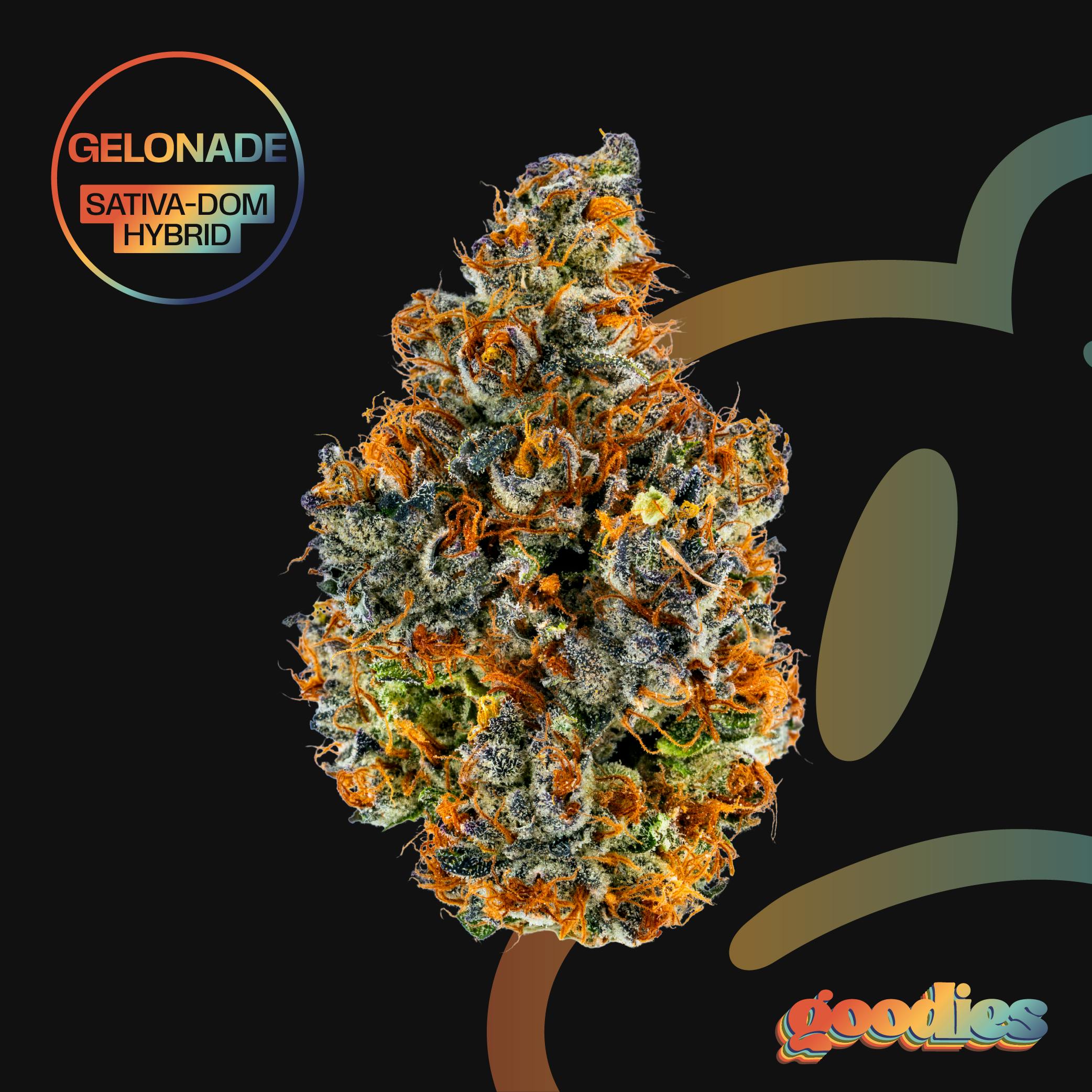 Goodies - Gelonade | Big Buds | 7g - 1