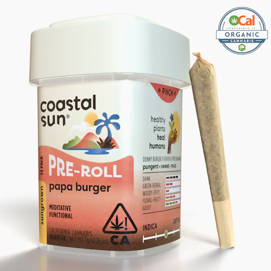 Coastal Sun - Coastal Sun | Papa Burger | Mini Joints | 0.5g | 14pk - 1