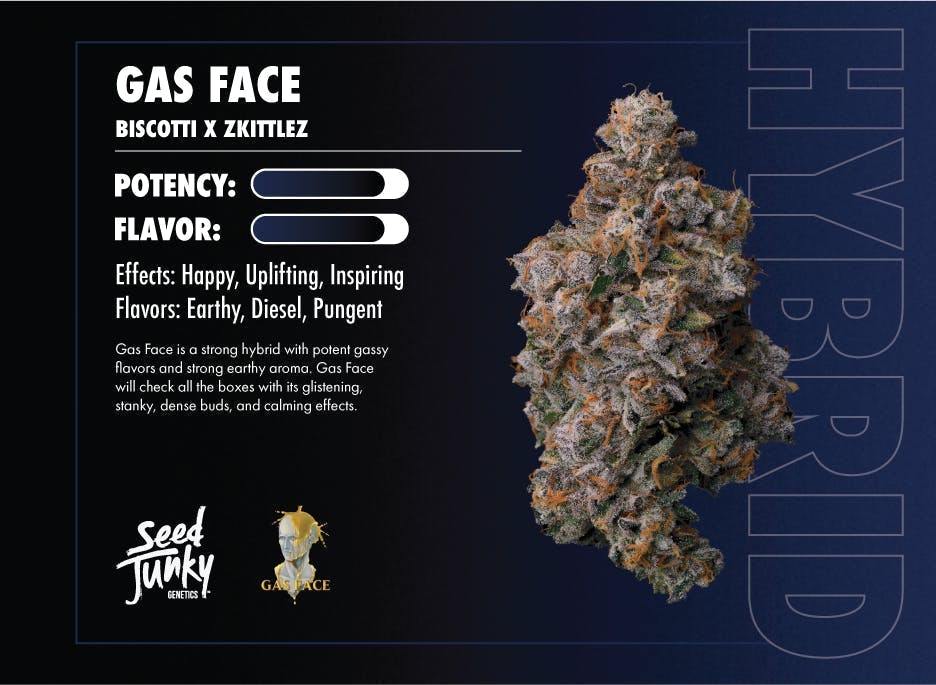 Seed Junky - Gas Face | Big Buds | 3.5g - 1