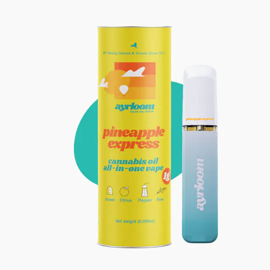 ayrloom - Pineapple Express| Disposable | 1g - 1