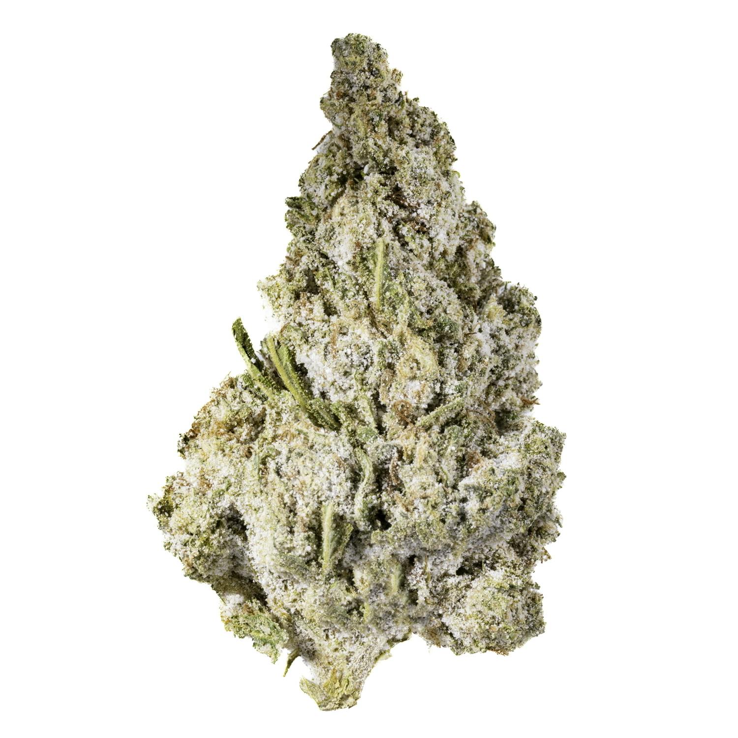 West Coast Cure - Blue Scream - 14G Diamond Infused Premium Flower - 1