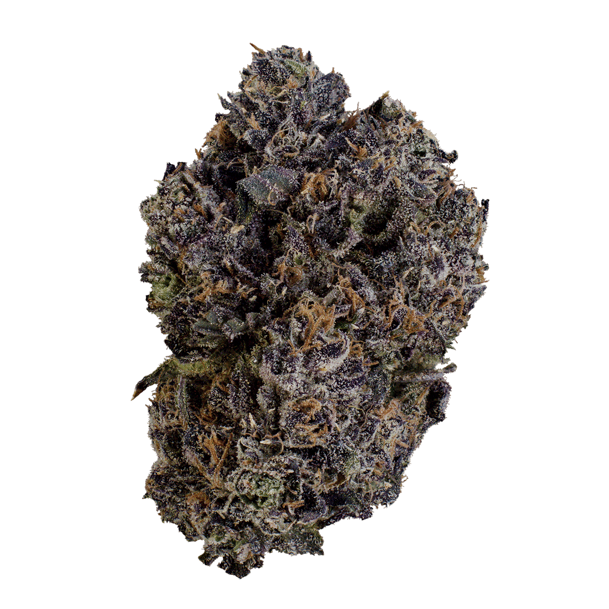 XOTX - XOTX | Strawberry Mango Haze | Smalls | 14g - 1