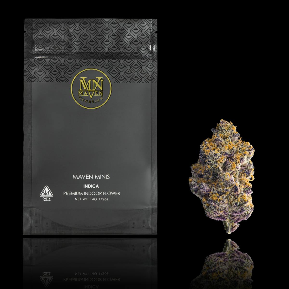 Maven Genetics - Blue Agape Maven Minis [14g] - 1