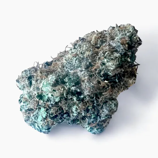 Animal - Black Mamba - Hybrid - 39.24% THC - 1