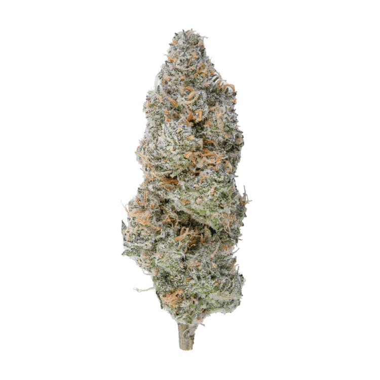 Fire Bros. - Lemon Slushee | Big Buds | 3.5g - 1